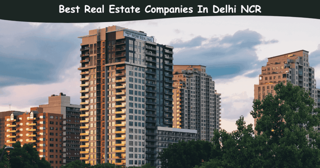 Best Real Estate Companies In Delhi NCR