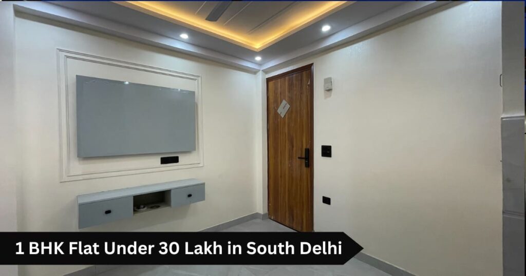 1 BHK Flat Under 30 Lakh in South Delhi
